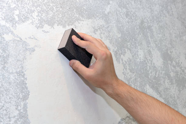 Best Water Damage & Mold Remediation  in Swanton, OH