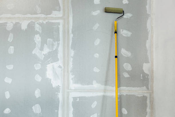 Best Real Estate Mold Inspection  in Swanton, OH
