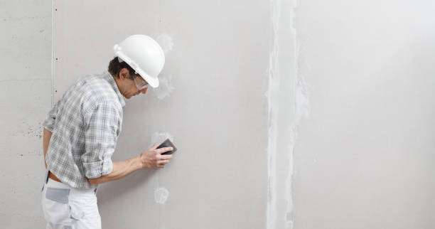 Best Basement Mold Removal  in Swanton, OH
