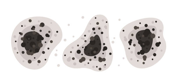 Best Air Quality Testing for Mold Spores  in Swanton, OH
