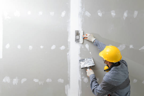 Best Environmental Consulting for Mold Prevention  in Swanton, OH