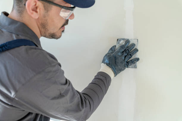 Best Mold Documentation for Insurance Claims  in Swanton, OH
