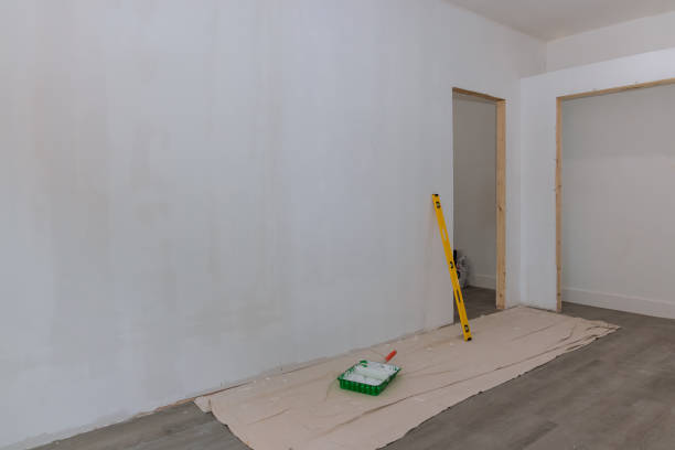 Best Dehumidification Services  in Swanton, OH