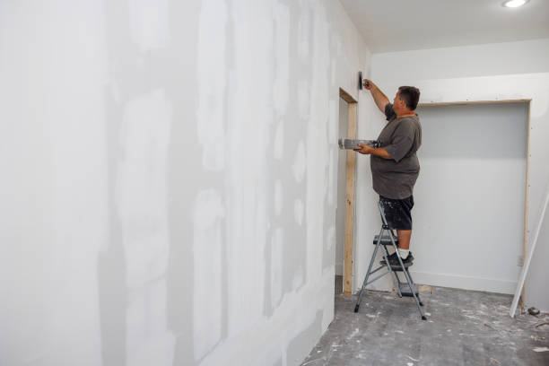 Best Post-Construction Mold Inspection  in Swanton, OH