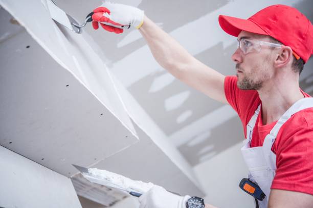 Best Mold Removal for HVAC Installations  in Swanton, OH