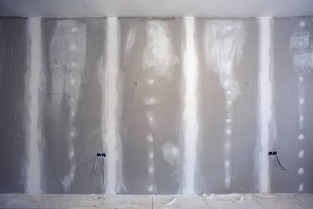 Best Emergency Mold Remediation  in Swanton, OH